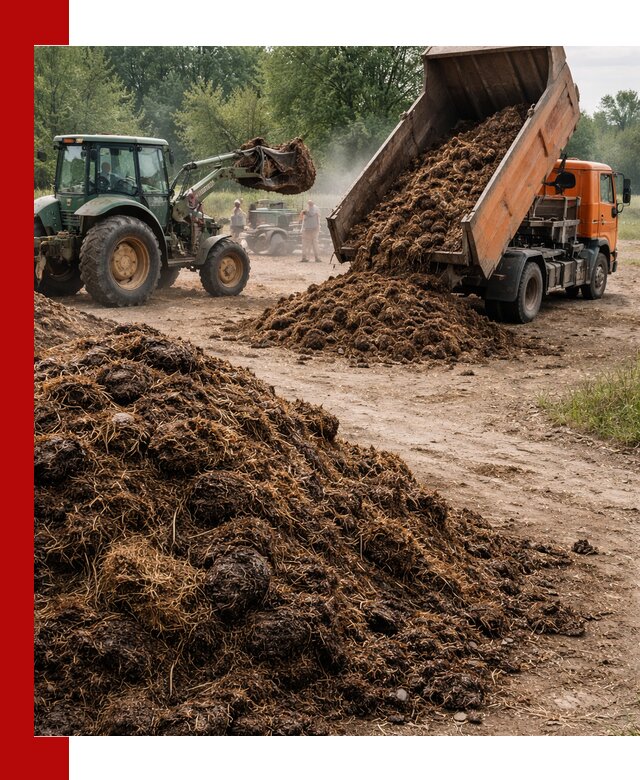 Доставка навоза самосвалами в Мичуринске для сельхозпотребностей
