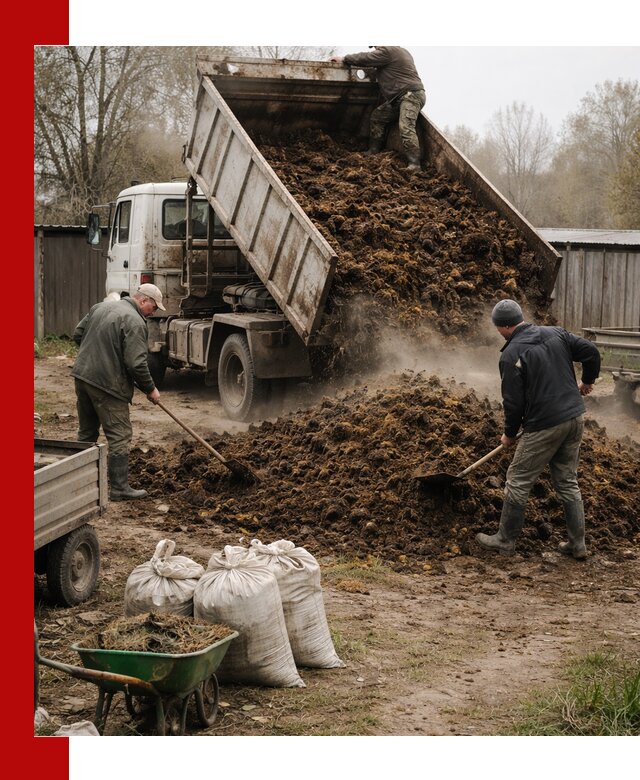 Доставка коровьего навоза самосвалом в Мичуринске